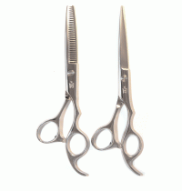 6in Scissors Set Model PM Includes Texturizing Shears
